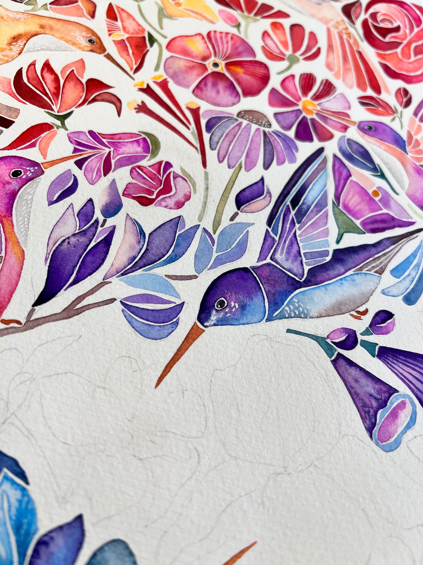 Ombre Hummingbirds