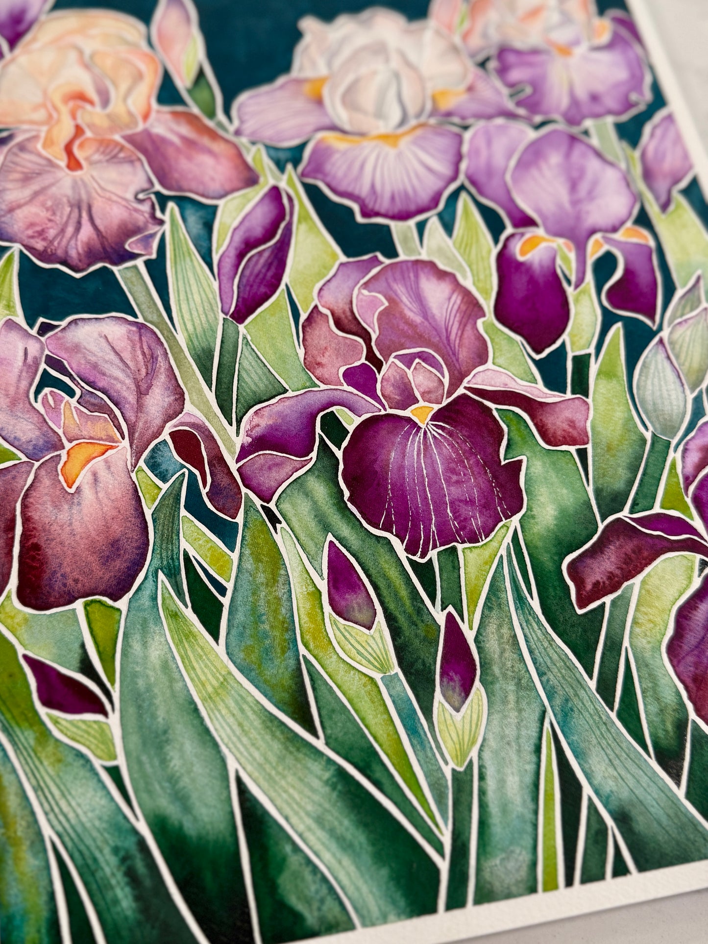 Violet Irises