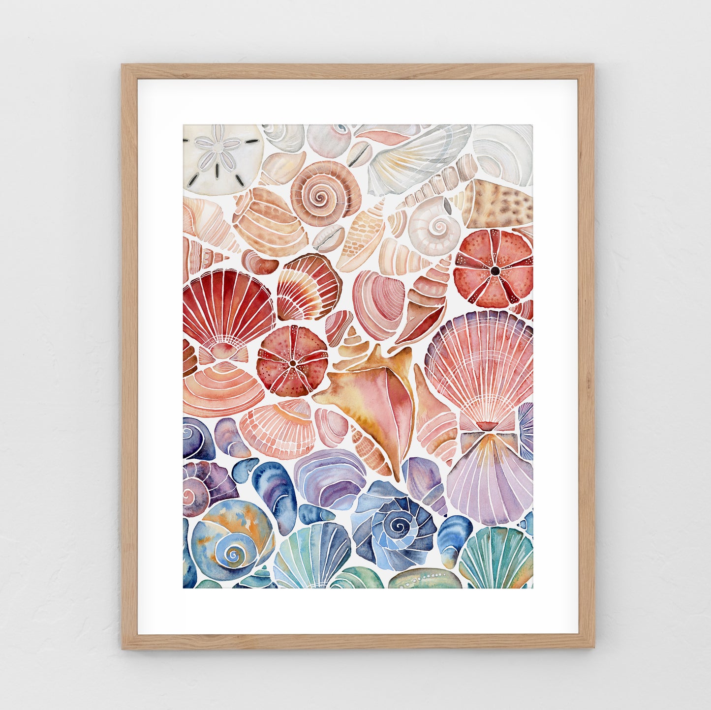 Ombre Seashells