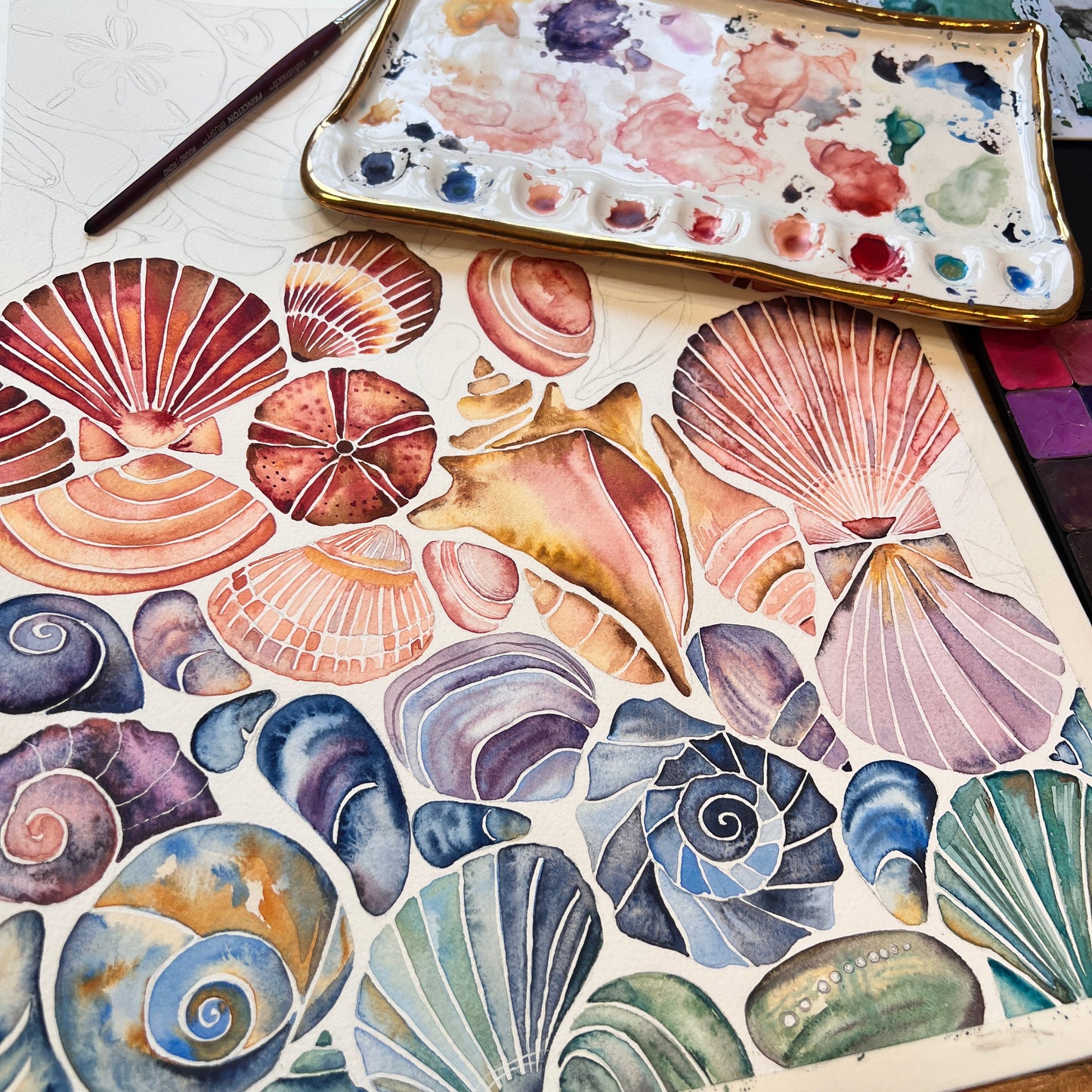 Ombre Seashells