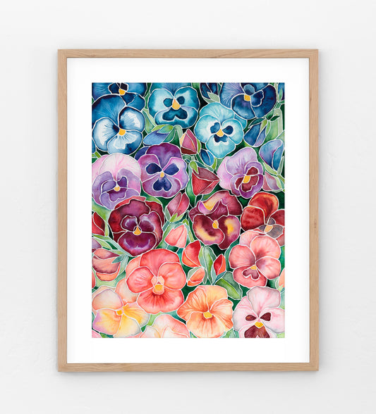 Ombre Pansies
