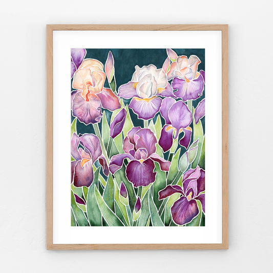 Violet Irises
