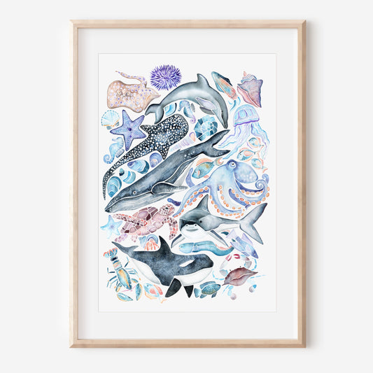 Ocean Creatures
